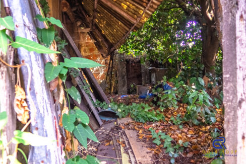 Terreno Urbano Monte dos Burgos