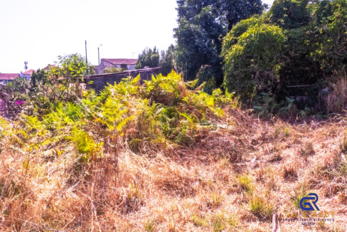 Terreno Urbano Monte dos Burgos